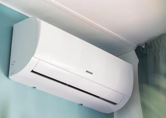 Domvs Glamp 홀리데이파크