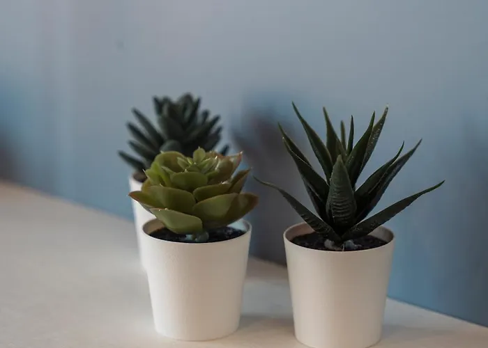 Domvs Glamp 홀리데이파크